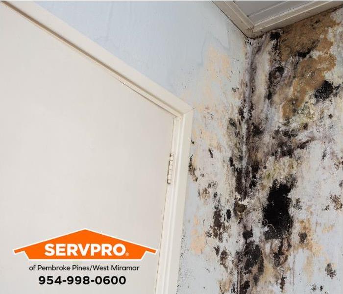 A mold outbreak is seen on a wall in a home.