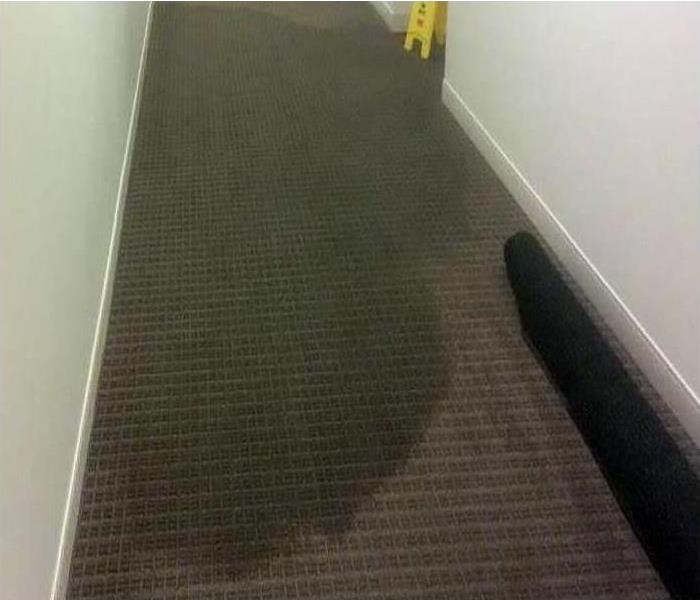 office hallway with water soaked commercial grade carpeting