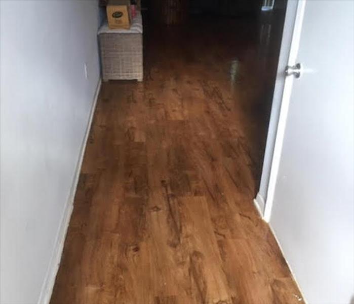 A clean hallway leading into another room with hardwood flooring.