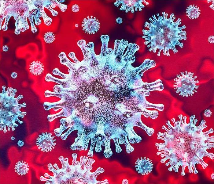 closeup of virus
